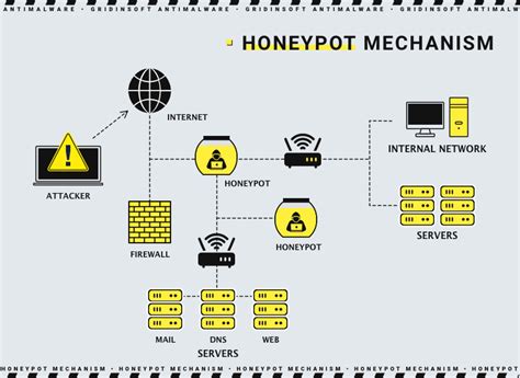 Honeypot in Cybersecurity and How It Can Trap Attackers? | Gridinsoft