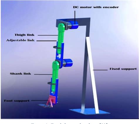 Figure From Feedback Linearization Control Of Lower Limb Exoskeleton