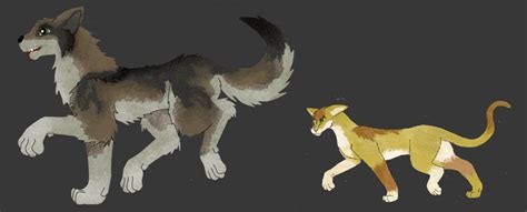 wolf and cat by fableworld on DeviantArt