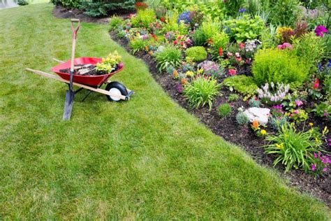 10 Top Spring Landscaping Tips - Boschs Landscaping Specialists