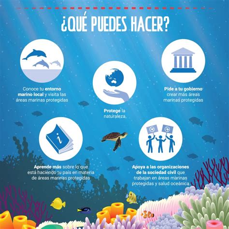 Las áreas Marinas Protegidas Son Cruciales Para Conservar