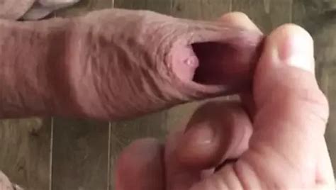 An Ines Gedacht Free Gay Porn Xxx Porn Video XHamster