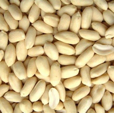 Raw Peanuts Kernel Top Quality 100 Natural Raw White Skin Skinless