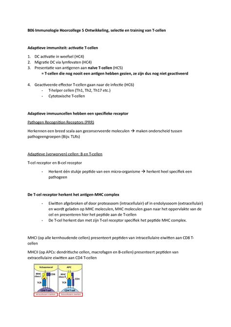 B Immunologie Hoorcollege Ontwikkeling Cytotoxische T Cellen