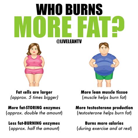 Who Burns Fat Easier Men Or Women