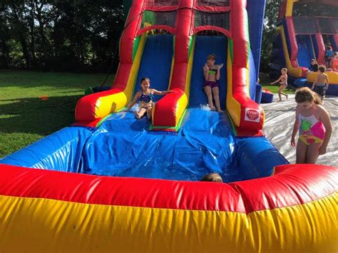 Bluey Bounce House Bluey Theme Birthday Party Rental