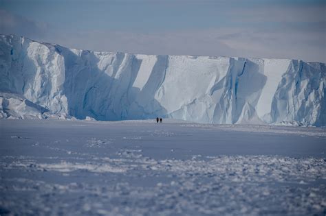 Icy Walk