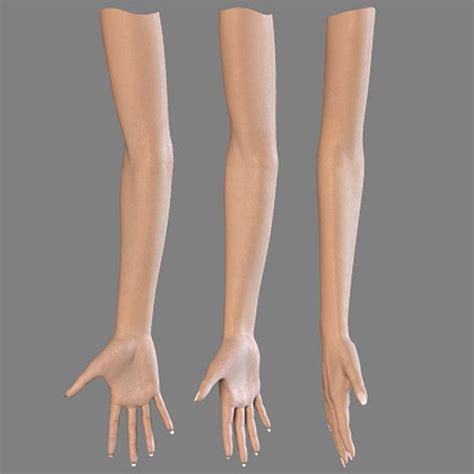 Human Female Arms