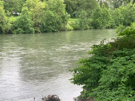 Caution Urged As Puyallup River Rises | Puyallup, WA Patch