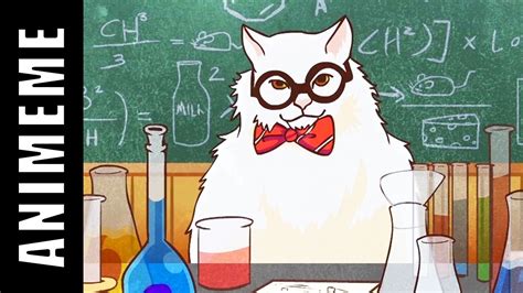 Science Cat Meme