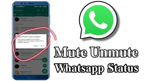 How To Mute Unmute Whatsapp Status Youtube