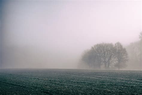 Le Brouillard La M T O En Bref M T O Contact