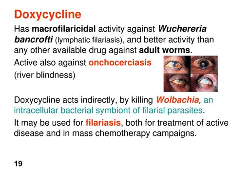 Ppt Amebiasis Amebiasis Is Infection With Entamoeba Histolytica This Organism Can Cause