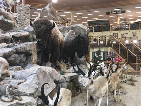 Cabela's (Dundee) - All You Need to Know Before You Go (with Photos ...