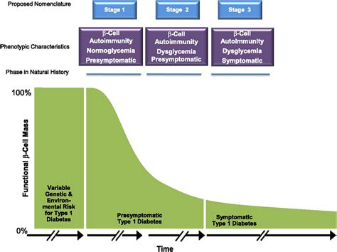 Developing Type 1 Diabetes In Adulthood - DiabetesWalls