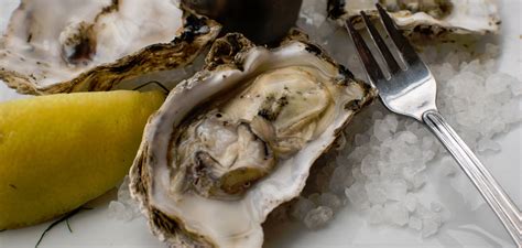 Osu Gets 2 Noaa Aquaculture Grants To Help Oyster Industry And Marine