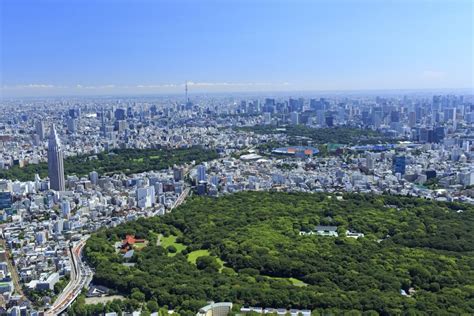 10 Best Parks In Tokyo To Enjoy Nature Japan Wonder Travel Blog