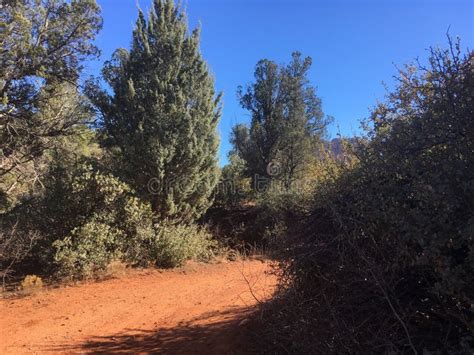 Sedona Red Rock Hiking Trails Stock Photo - Image of mountain, arizona ...