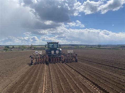 Carrots are coming - Thoresby Farming