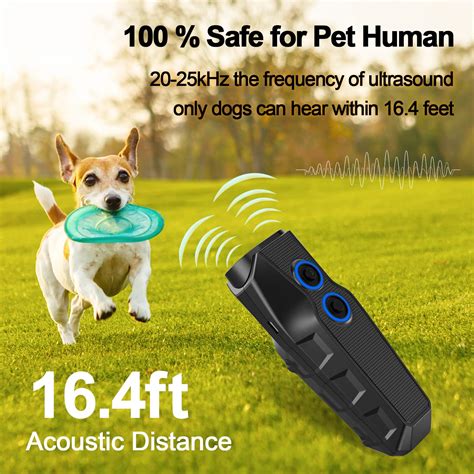 What Frequency Can Only Dogs Hear
