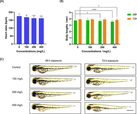 Polystyrene Nanoplastic Exposure Induces Developmental Toxicity By