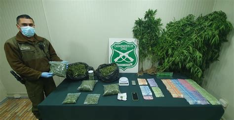 Detienen A Una Persona Y Decomisan M S De Mil Dosis De Cannabis