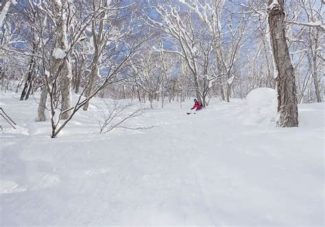 Niseko Village Ski Resort, Ratings, Snow