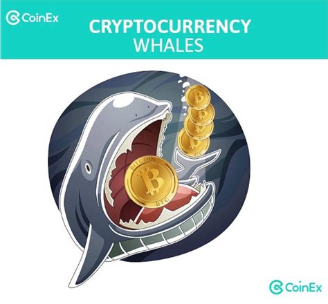 حيتان العملات الرقمية كيفية تتبع معاملاتهم؟ Coinex