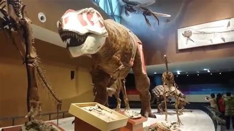 Robotic T Rex At Shanghai Natural History Museum Youtube