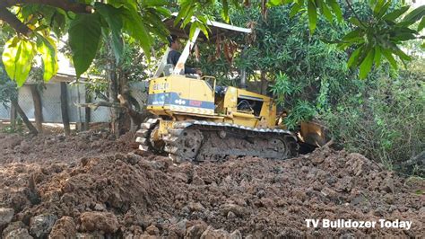 New Project KOMATSU Dozer D20 Pushing In The Mango Plantation And Dump