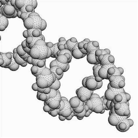 DNA molecule 3D model | CGTrader