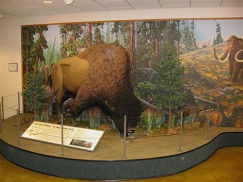 Big Bone Lick completes mammoth 3 year revitalization of visitor center at Cincinnati Museum ...