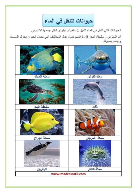 معلقات : حيوانات تتنقل في الماء