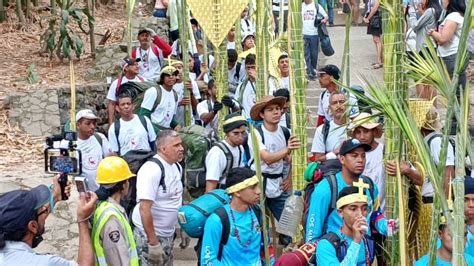 Los Palmeros De Chacao Cumplieron Con La Tradici N De Bajar La Palma A