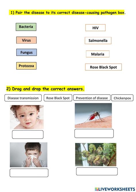 Communicable Diseases Online Exercise For Live Worksheets