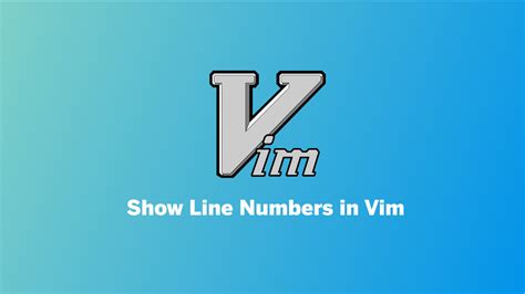 How To Show Line Numbers In Vim Nvim With Example Linovox