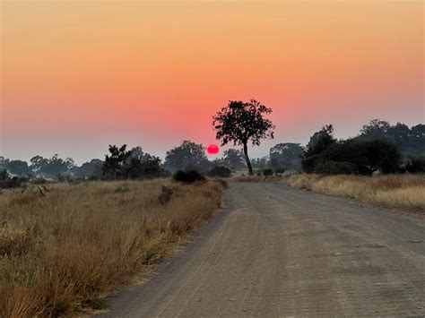 Photos: The mesmerising magic of the Kruger National Park | City Press
