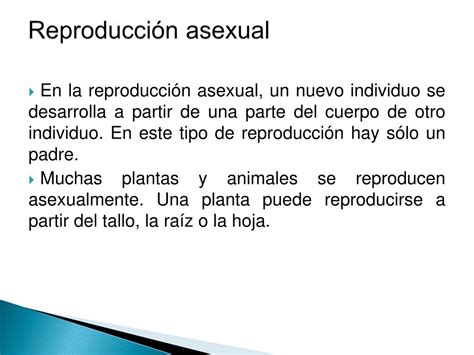 PPT La reproducción asexual en las plantas PowerPoint Presentation