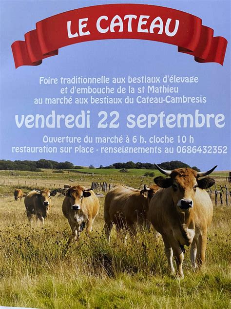 Foire Traditionnelle Aux Bestiaux