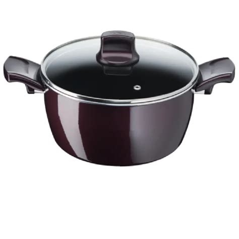 Tefal Resist Intense Stewpot 30cm Glass Lid Beirutic