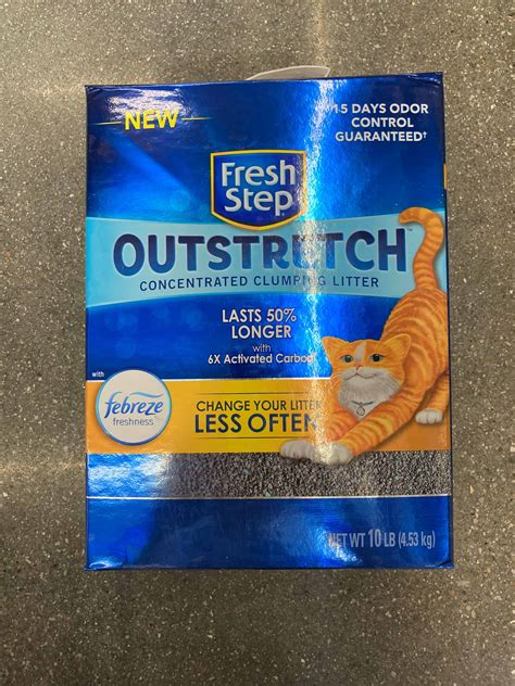 The Best Cat Litter for Picky Cats (and Kittens!) - AZ Animals