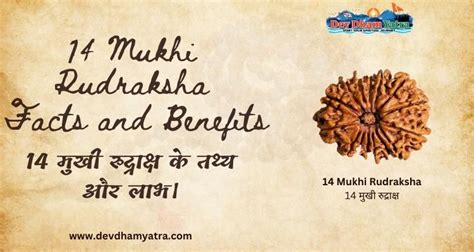 Mukhi Rudraksha Facts And Benefits