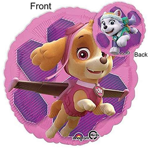 Paw Patrol Party Supplies Skye And Everest Pups 3rd Birthday Balloon Bouquet Decorations Pink