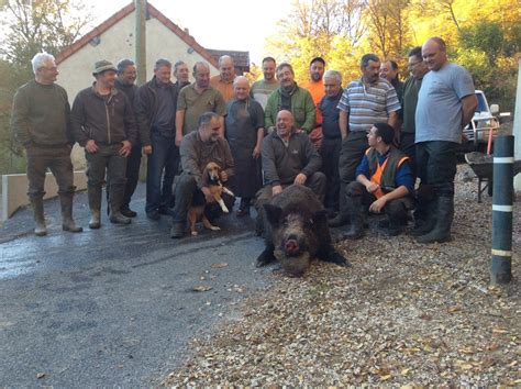 Bourgogne Chasse Un Sanglier Record De 172 Kilos Abattu Mi Novembre