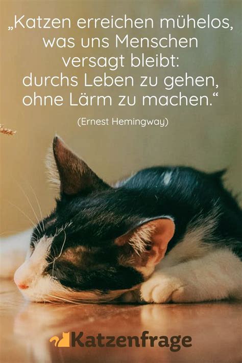 Auf Leisen Sohlen Katzen Zitate Katzen Spr Che Katze