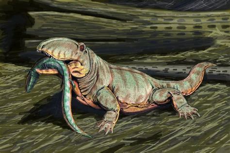 Monster Ophiacodon | Fantasy I Sci-Fi I Books I Films I World Building