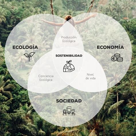 Economia Vs Ecologia Vs Sociedad ¿cuáles Son Los Estándares De