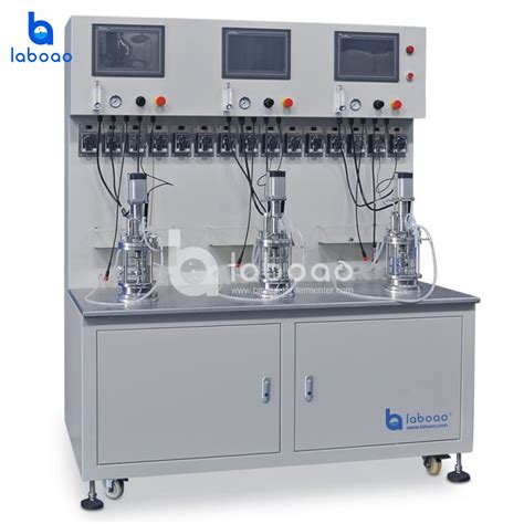 China Off Site Sterilization Mechanical Mixing Triple Glass Bioreactor