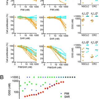 Sensitivity Of Kras Mutant Nsclc And Crc Cell Lines To Sar