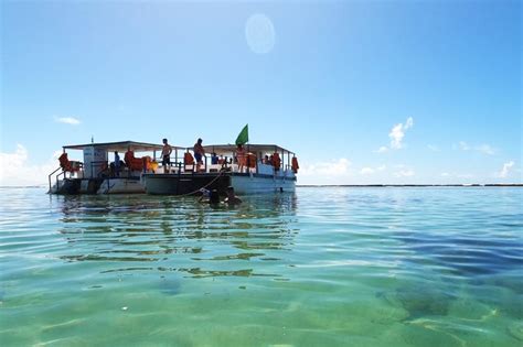 Maragogi Beach Gales Reef - Private English Guide | Gray Line